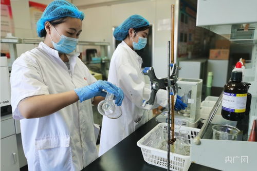 探訪 走進大連預制菜生產示范推廣基地 央廣網